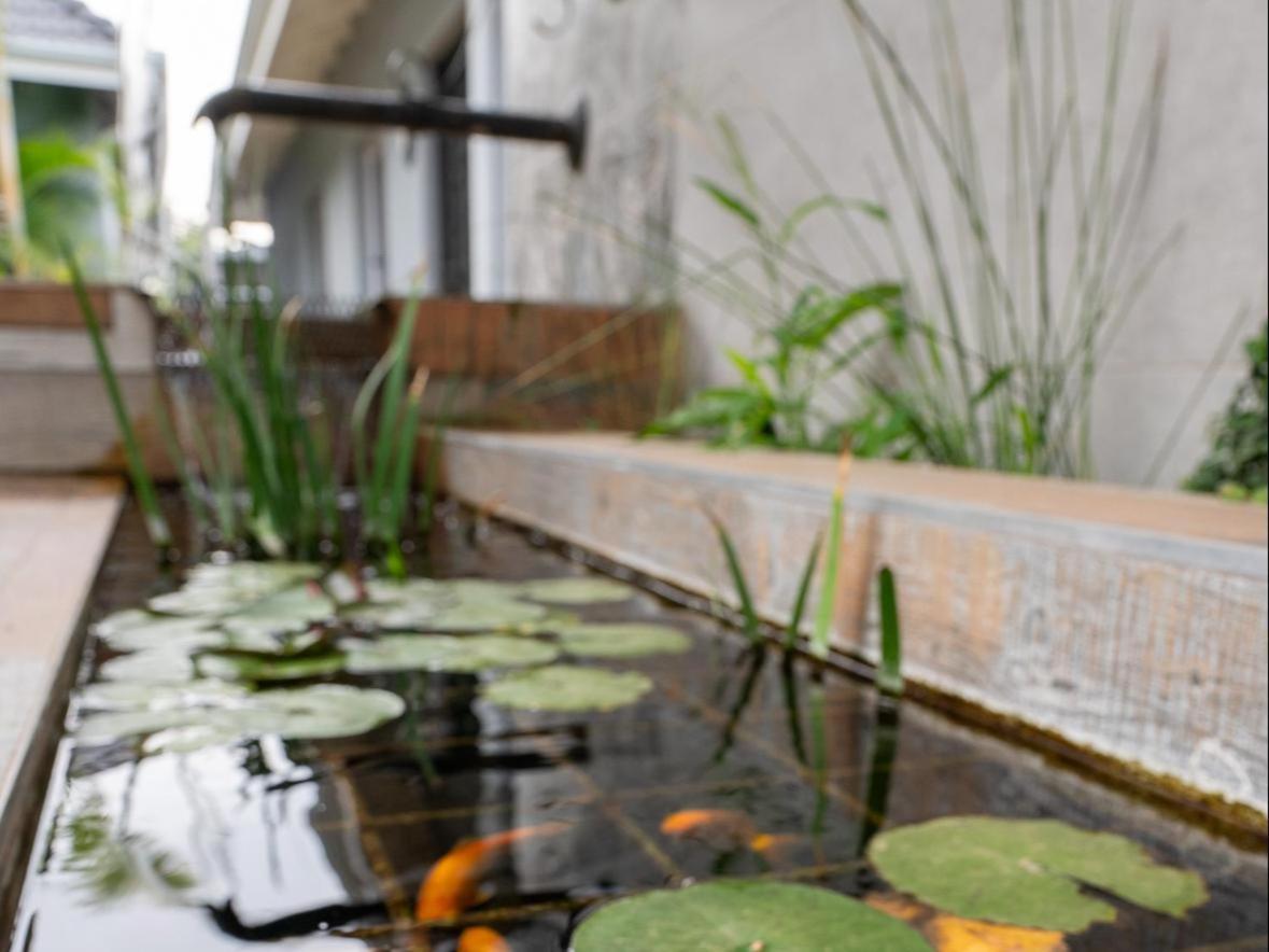 Familia Guesthouse & Boutique Hotel Groblersdal Ngoại thất bức ảnh